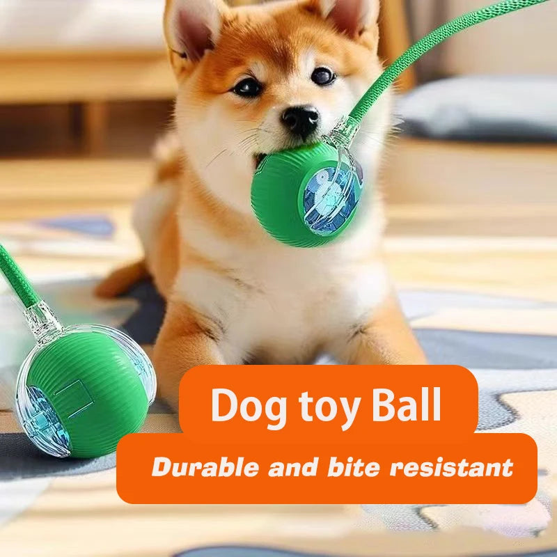Zoomiez™ Automatic Dog Ball