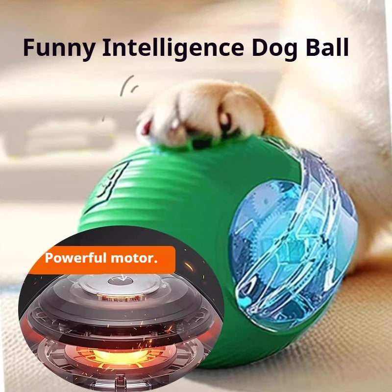 Zoomiez™ Automatic Dog Ball