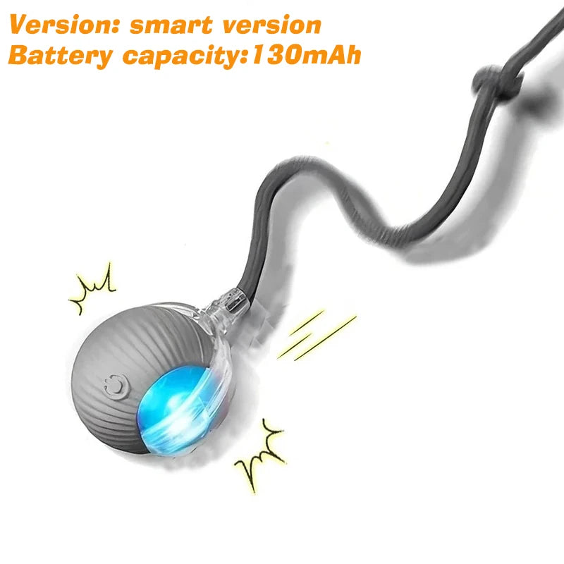 Zoomiez™ Automatic Dog Ball