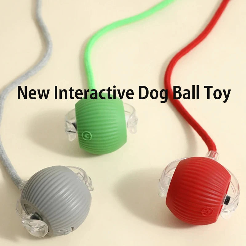Zoomiez™ Automatic Dog Ball