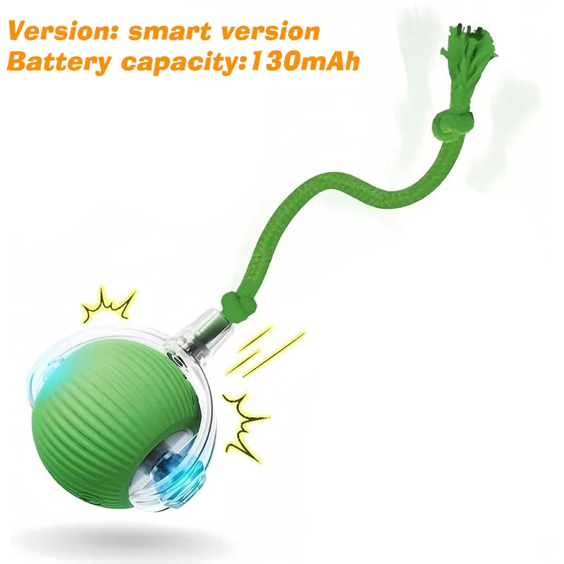 Zoomiez™ Automatic Dog Ball